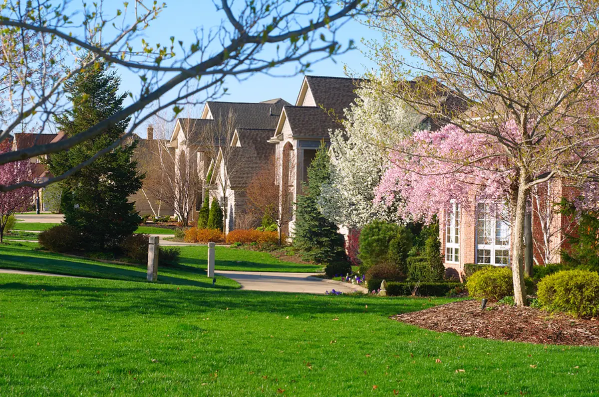 How Professional HOA Management Keeps Naples Communities Running Smoothly